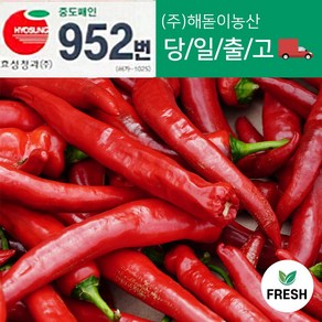 해돋이농산 국내산 홍고추 빨간고추 붉은고 상품 1kg 2kg 3kg 5kg 10kg, 1개