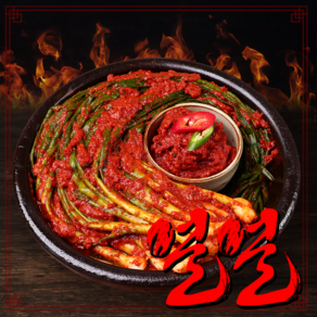 얼 전라도 실비 파김치 [HACCP], 1개, 900g