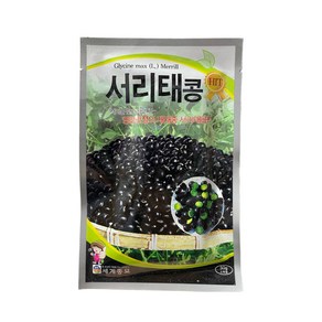 서리태콩씨앗 50g [24년포장] 재래종 서리태콩종자 세계, 1개