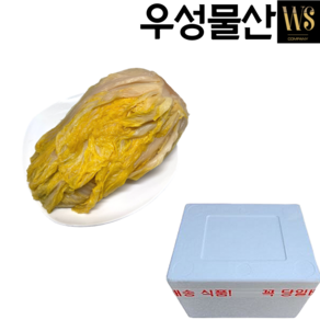 씻은김치 묵은지 묵은김치 업소용 횟집 10kg