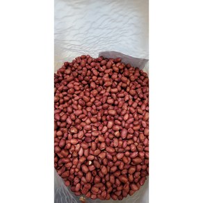 수입산 생땅콩/알탕콩 PEANUT KERNELS 1박스(20kg) / 5kg x 4팩, 4개