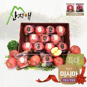 기타 산지애 씻어나온 꿀사과 4kg 1box / 대과 당도선별 12bix, 산지애 씻어나온 꿀사과 4kg 1box /대과 당도선별 12bix