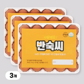 [YJ푸드]노른자까지 간이 배인 반숙씨 영양간식 반숙란 영양만점 삶은계란, 60구, 1개