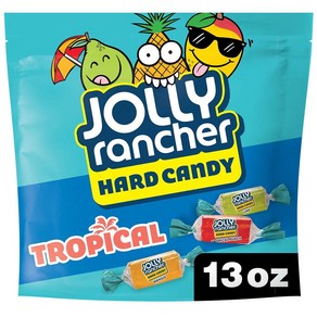 졸리랜처 과일맛 트로피칼 하드캔디 미국 사탕 368g Jolly Rancher Tropical Fruit