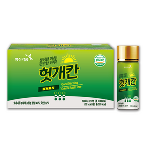 영진 헛개칸 100ml x 20병, 120개