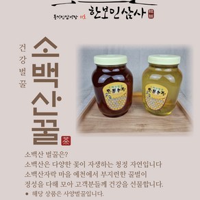 아카시아꿀 소백산 벌꿀 2.4kg 풍기인삼시장 한보인삼사, 잡화꿀, 1개