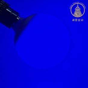 세운상사 볼램프 led12w 파란색 / 청색 BLUE 컬러전구 / e26소켓