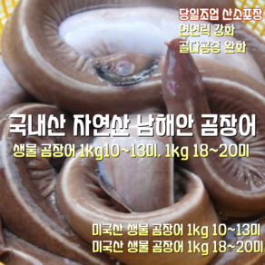 [산지직송] 국내산 자연산 남해안 새벽조업한 생물 곰장어 1kg 10~13미. 1kg 18~20미 양념소스증정 1박스, 미국산 생물 곰장어 1kg 18~20마