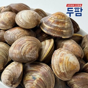 두팜 상합 1kg 20~25마리 내외(백상합), 백상합(대) 1kg 15알 내외, 1개