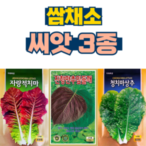 쌈채소씨앗 3종 1세트 청상추 + 적상추 + 깻잎 씨앗, 3개