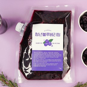 청년수제청 과일청 자일로스 수제 블루베리청, 2개, 1kg