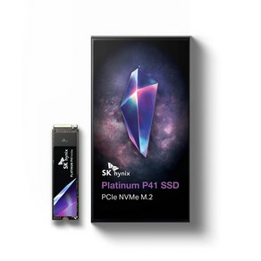 SK 하이닉스 플래티넘 P41 SSD 1TB, 1개