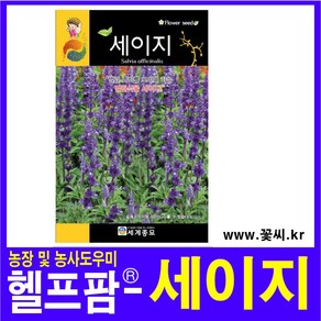 헬프팜 세이지 50립 세계종묘 꽃씨 종자 씨앗