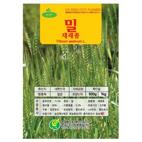 재배용 밀씨앗 500g 1kg