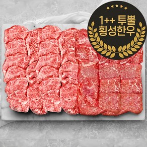 1++ 투뿔 횡성한우 구이 배부른 마블링 모둠 한판 2종 세트 800g