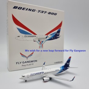 비행기모형 플라이강원 Fly Gangwon B737-8AL(WL) HL8518 [1/400] 극소한정판!, 1개