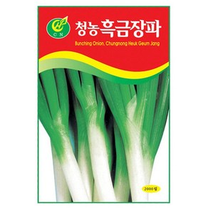 흑금장파 대파씨앗 대파씨 2000립, 4개