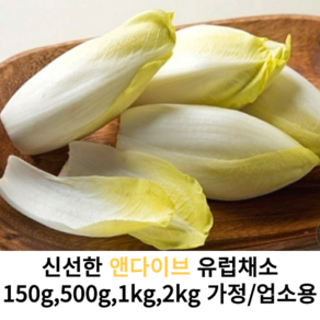 싱싱한 특품 앤다이브 유럽 채소 150g 500g 1kg 2kg 4.5kg 가정용 업소용 엔다이브 특이한 채소 샐러드채소 신선포장