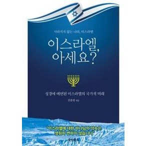 이스라엘 아세요?:성경에 예언된 이스라엘의 국가적 미래, 국민북스