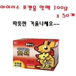 아이리스 포켓 손난로 핫팩 100g, 1개