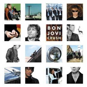 Bon Jovi LP판 Vinyl - Cush