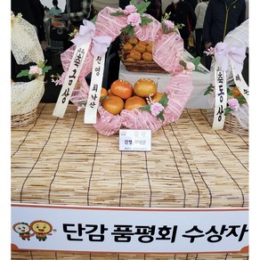 진영단감축제 금상 단감 부유 아삭아삭 제철 감, 부유단감 10kg 36개 내외(특대)한정수량