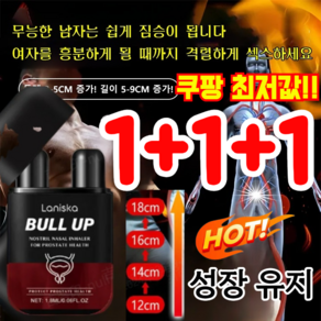 1+1+1 남성용 비강 흡입기 bull up 비강흡입기 전투력 강화된 남성용 비강 흡입기, (3+3+3)1.8ml*9개