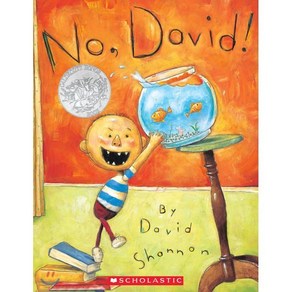 No David! : 1999 칼데콧 아너 수상작 : 1999 Caldecott Hono, No, David! : 1999 칼데콧 아너 수상작