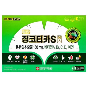 일양약품 징코티카S 에스 120캡슐(60캡슐x2) 4개월분, 60정, 2개