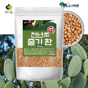 국내산 천년초 환 천년초줄기환, 500g, 1개