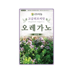 (DN) 오레가노 씨앗(3000립), 1개