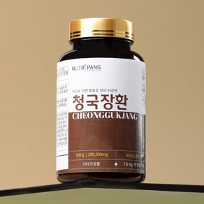 뉴트리팡 국산 발효청국장 100% 청국장환 50일분 200g, 1개