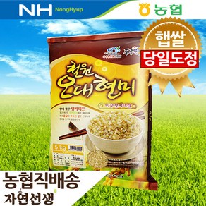 철원오대현미 5kg 자연선생 2024년 햅쌀 현미, 1개