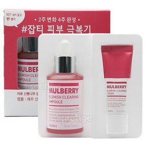 어퓨 산뽕나무 잡티 앰플 50ml 대용량 기획세트