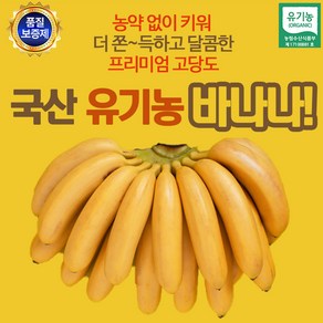 유기농 국산바나나 1.5kg, 1개