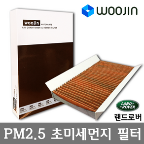 우진필터 PM2.5 초미세먼지 랜드로버 에어컨필터, 레인지로버 스포츠 1세대 (L320 L322 LM)/YCL01, 1개