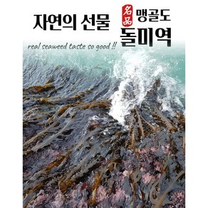 산모미역 맹골도돌미역 자연산돌미역 200g 400g진도 곽도 맹골군도 미역