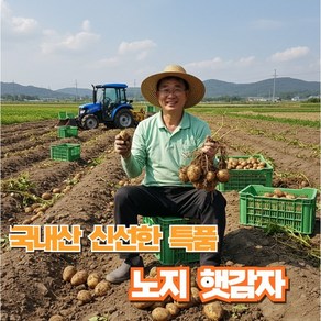 [밭 그대] 햇감자 국내산 노지 햇감자 시즌한정수량 최상급, 1박스, 햇감자 대 10kg