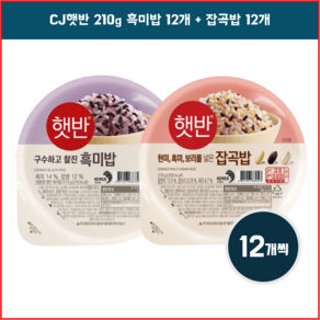 CJ 햇반 잡곡밥210g 12개 + 흑미밥210g 12개 세트, 24개, 210g