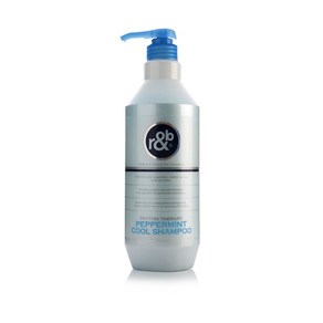 알앤비 피톤테라피 페퍼민트 쿨 샴푸, 1000ml, 1개