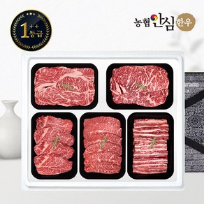 [농협안심한우] 1++등급 한우 선물세트 구이6호 2kg (등채안부갈), 1개