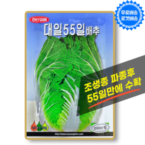 김장 배추씨앗 55일배추 2000립 조생종 55일만 수확 빠른재배 배추 씨 종자