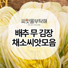 씨앗을 부탁해 배추/무 김장채소 씨앗 모음 (가을동화/베타/고향/불암/천고마비/황금/금봉무/과일무/갓/엇갈이)