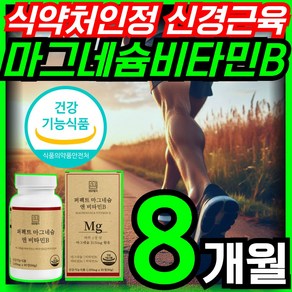 영양별곡 퍼펙트 마그네슘 비타민B 영양제 근육 신경 유지 도움, 2개, 120정