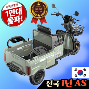 코지모터 [즐거운 여행] 세발 전기자전거 삼륜 전동자전거 전기오토바이 전동스쿠터 전기스쿠터, 1개, 800W 리튬전지 70km주행