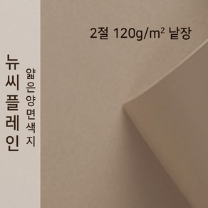 뉴씨플레인 종이문화 얇은 양면색지 120g 2절 낱장 1매 No.58 금발색, 1장