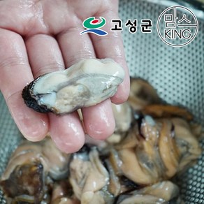 [공룡나라]동성수산 국산 냉동 홍합살 1kg 경남 고성