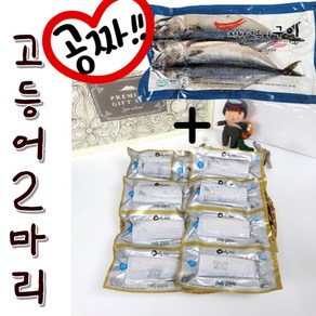 [해담]제주 은갈치(150g 5마리) 총15토막 갈치 선물세트, 1개, 2.은갈치5미+가방포장