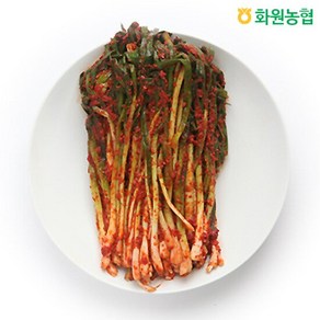 [화원농협]이맑은김치 파김치 1kg