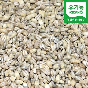 직송 국산 유기농 늘보리 꽁보리 쌀, 1kg, 1개